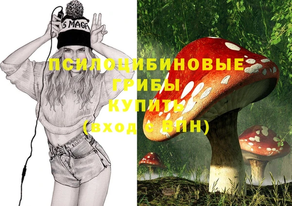 бошки Саяногорск